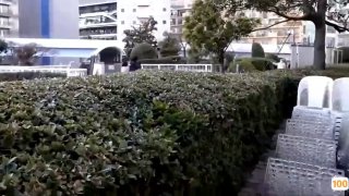 强壮的公么征服我完整版